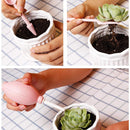 Kit de jardinagem para suculentas 12 peças - Home Store 360