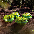 Proteção Vegetal de Coleira - Home Store 360